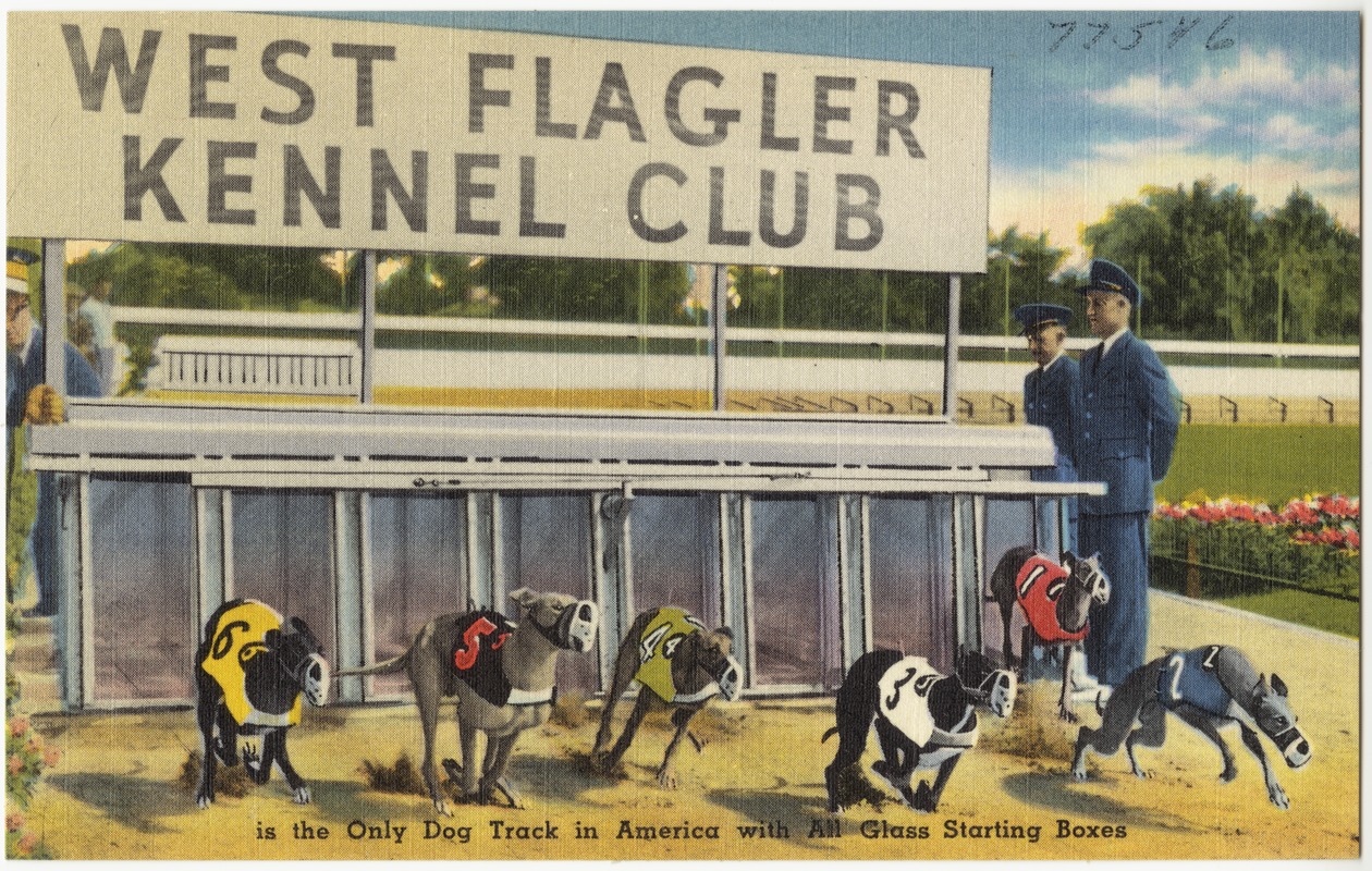 A vintage postcard of the old West Flagler Kennel Club